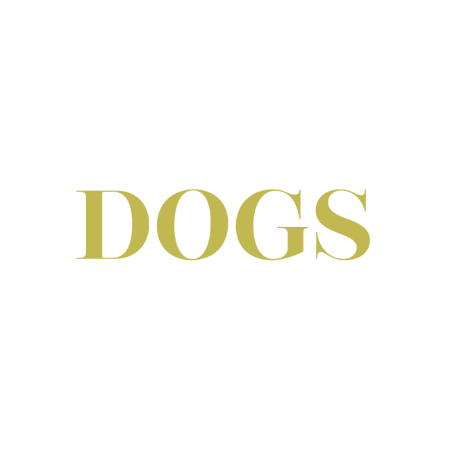 Dogs Magazin